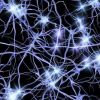 ​Вчені виявили, що на пам’ять, сприйняття запахів й свідомість впливають молекули мозку