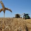 ​Експорт сільськогосподарської продукції - на високому рівні