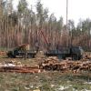 ​​Підприємець «орендував» ліс на 49 років та звів там капітальні будівлі