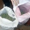 ​На Вінниччині поліцейські вилучили у чоловіка 2 кілограми коноплі