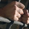 ​«Освобожденные Савченко» – скоро на всех улицах страны