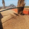​Естонія заборонила транзит зерна з Росії та Білорусі