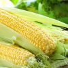 ​Завод, який займатиметься глибоким переробленням кукурудзи, вирішили створити в Дніпрі!