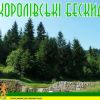 ​АНДРІЙ СЕНЮК: НА ЛЬВІВЩИНІ СТВОРЕНО НОВИЙ НАЦІОНАЛЬНИЙ ПРИРОДНИЙ ПАРК «КОРОЛІВСЬКІ БЕСКИДИ»