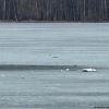 ​Естонія, Латвія та Литва вимагають посилення ППО