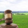 ​Рада разблокировала подписание закона о продаже земли на онлайн-аукционах