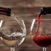 Червоне та біле вино: ворог чи друг для організму?