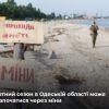 ​Російське вторгнення в Україну :  Курортний сезон в Одеській області під загрозою через міни у морі
