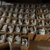 ​БЕБ вилучило контрафактний алкоголь на Чернігівщині вартістю 5 млн грн