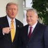 ​Трамп закликав угорців голосувати за "справжнього друга та бійця" Орбана