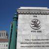 ​Світова організація торгівлі планує ввести субсидії для Індії