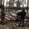 ​СБУ блокувала розкрадання деревини з держлісгоспів Одещини