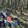 ​На Львівщині у лісі затримали п’ятьох чоловіків