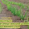 ​Як зареєструвати договір оренди земельної ділянки в умовах воєнного стану