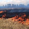 ​За умисний підпал стерні на площі понад 50 га чоловіку загрожує до 5 років позбавлення волі