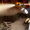 ​На Одещині через російський удар пошкоджений притулок для тварин, загинув собака