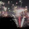 ​Мільйони німців підтримали петиції про заборони феєрверків