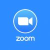 ​В Сінгапурі під час онлайн уроків в Zoom приєдналися хакери з нецензурними картинками
