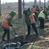 ​Нові дерева Запоріжжя