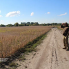 ​7,2 млн грн держзбитків через незаконний агробізнес у прикордонні: підозрюється правоохоронець