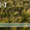 ​Порядок розроблення проекту землеустрою щодо відведення земельної ділянки