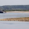 Через рекордно низький рівень води у Дунаї Румунія зупинила свою єдину АЕС