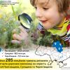 ​285 мільйонів гривень аліментів примусово повернули дітям