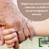 ​Юристка системи БПД допомогла бабусі захисти права її онуків
