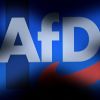 ​"Альтернативу для Німеччини" у Бранденбурзі офіційно визнали правоекстремістською