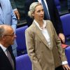 Після перемоги АдН у Німеччині загострилися суперечки щодо України