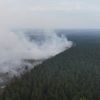 Масштабна лісова пожежа з Бельгії наближається до Німеччини