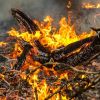 На острові поблизу Афін вирує пожежа: сотні людей евакуювали