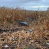 ​Молдова засудила порушення повітряного простору дронами РФ