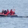 ​Кит на мілині у Балтійському морі: прогнози гіршають