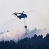 У Німеччині масштабна пожежа на території колишнього полігону