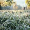 ​В Україну йдуть перші заморозки