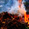 ​На Дніпропетровщині на любителів спалювати сухе листя чекають штрафи