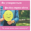 ​Репродуктолог Київ: Як утворюється фолікулярна кіста та чи може вона сама зникнути?