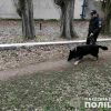​На Дніпропетровщині 12 годин шукали 7-річного хлопчика