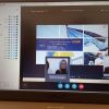 В ДЮІ розпочато серію вебінарів за участю представників КМЄС