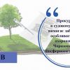 ​На Херсонщині прокуратура в судовому порядку вимагає забезпечення особливого режиму охоронної зони Чорноморського біосферного заповідника
