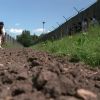 ​Колишня "смуга смерті" між ФРН та НДР стала "зеленим поясом"