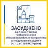 ​Таємне викрадення чужого майна: солдата на Запоріжжі засуджено  до 2 років 1 місяця позбавлення волі