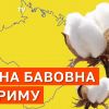 ​У Криму - масштабна "бавовна" по усій території півострова: що відомо