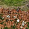 ​Лихоманка Ебола дісталася Франції: ВООЗ оцінила глобальний ризик