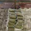 ​20 кілограмів канабісу на 5,6 млн грн – на Херсонщині затримано чоловіка, який віз наркотики 