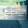 ​Службова недбалість зі збитками понад 1,8 млн грн під час ремонту дороги – судитимуть інженера з технічного нагляду