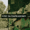 ​Хто і як «приватизував» десятки гектарів лісу під Луцьком? Розслідування