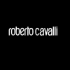 ​Роберто Каваллі (Roberto Cavalli) пограбували у потязі Київ - Миколаїв