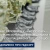 ​Навчає силовиків у «мвс по лнр» ‒ прокурори Луганщини повідомили про підозру окупаційному посадовцю